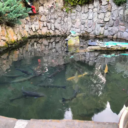 Bajeczny Wypoczynek Apartman Witów